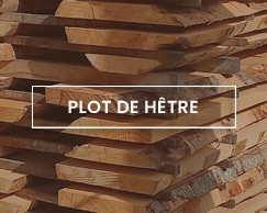 maderas ederra plot de hêtre maderas ederra plot de hêtre